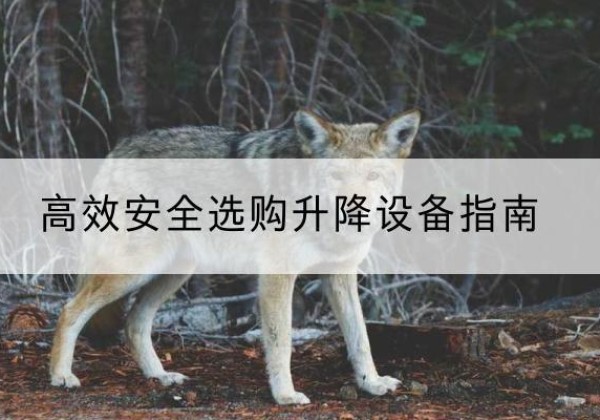 赛罕升降货梯厂家推荐-*安全选购升降设备指南