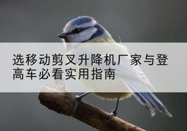 赛罕电动升降机厂家-选移动剪叉升降机厂家与登高车必看实用指南
